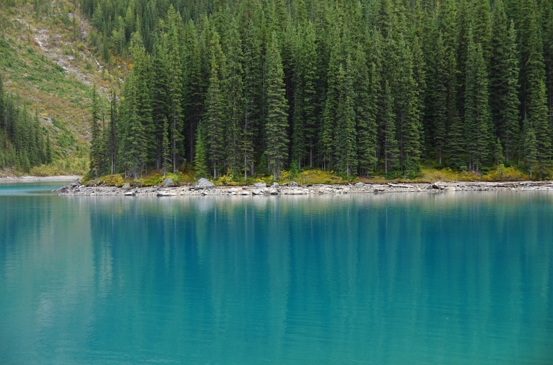 Banff NP 'Moraine  Lake Lakeshore' 16_09_2011 (226).JPG